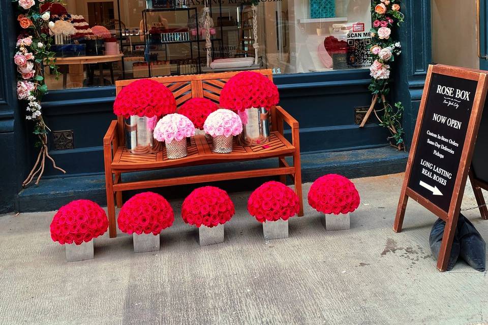 Window display