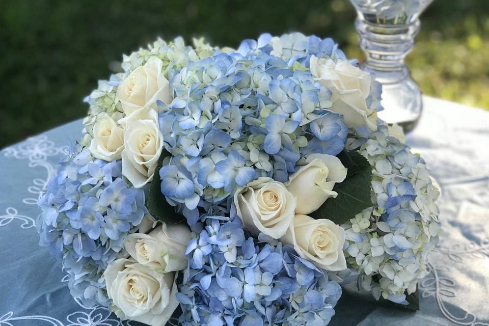 Blue hydrangeas