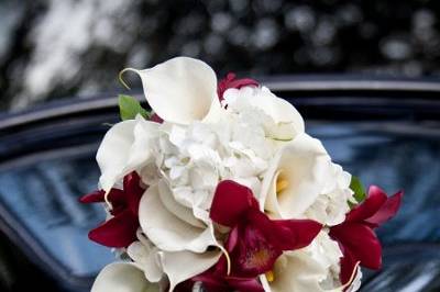 Candlelight white hydrangea, open cut creamy calla lilies and ruby cymbidium orchids contrast beautifully in this bouquet.
