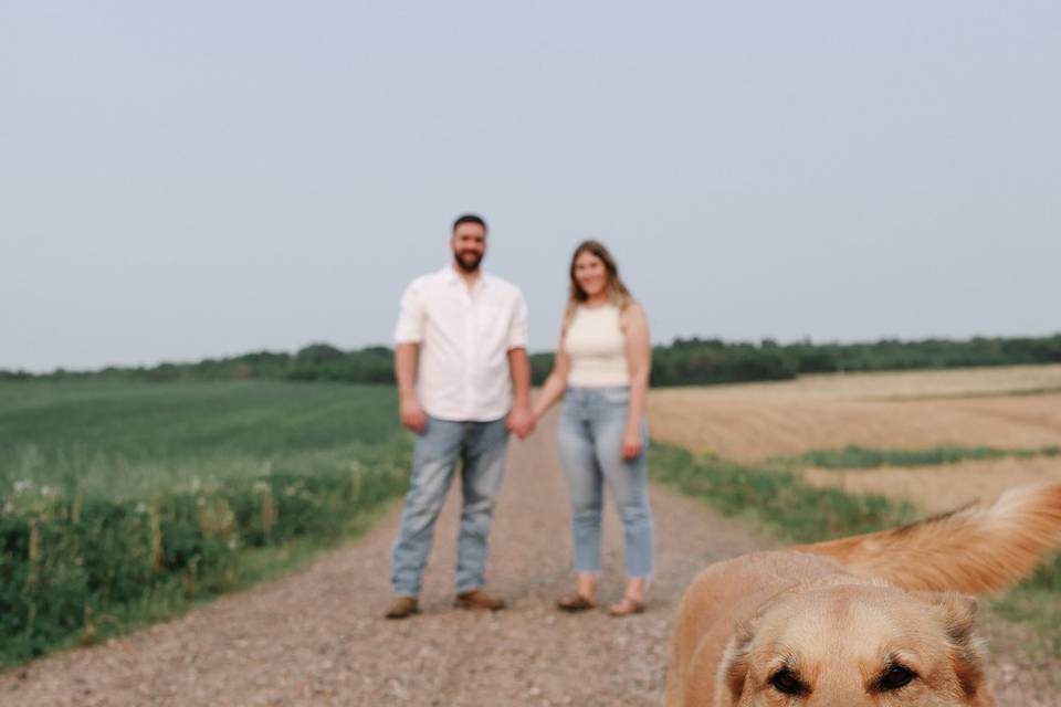 Chippewa Valley Wedding Crashe