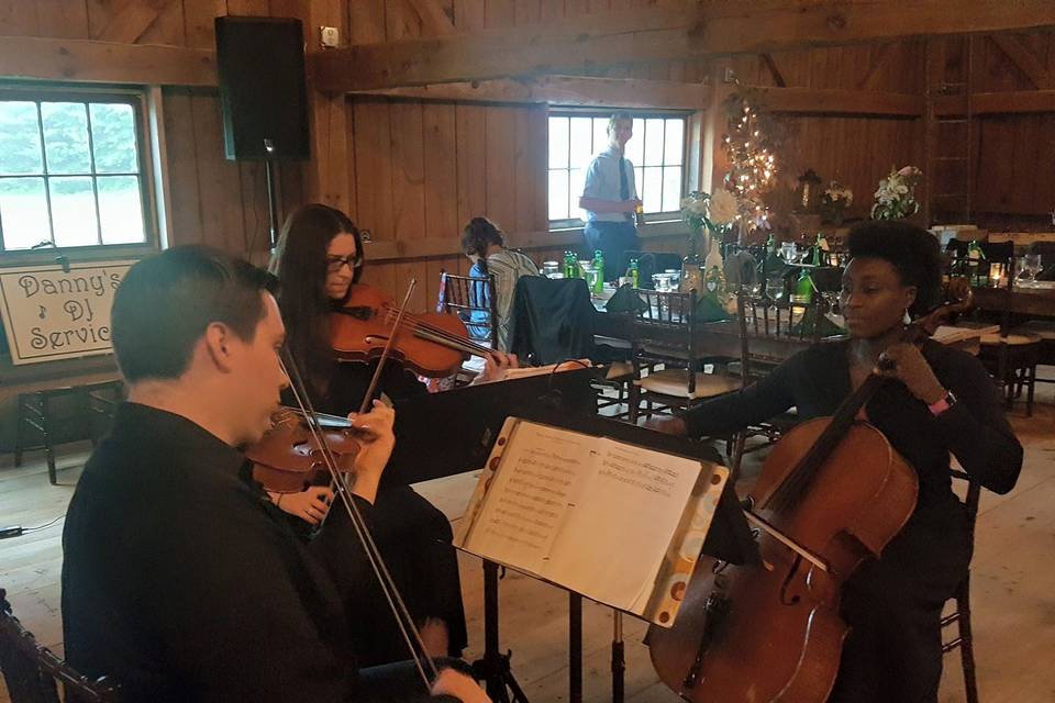 Affordable Elegance String Ensembles