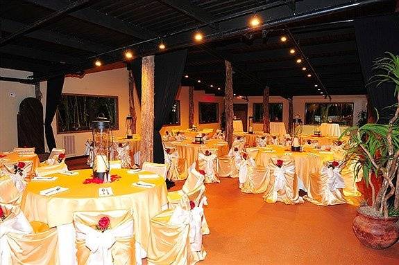 All Occasions Linen and Chair Cover Rentals