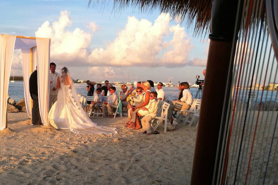 Key West Harpist