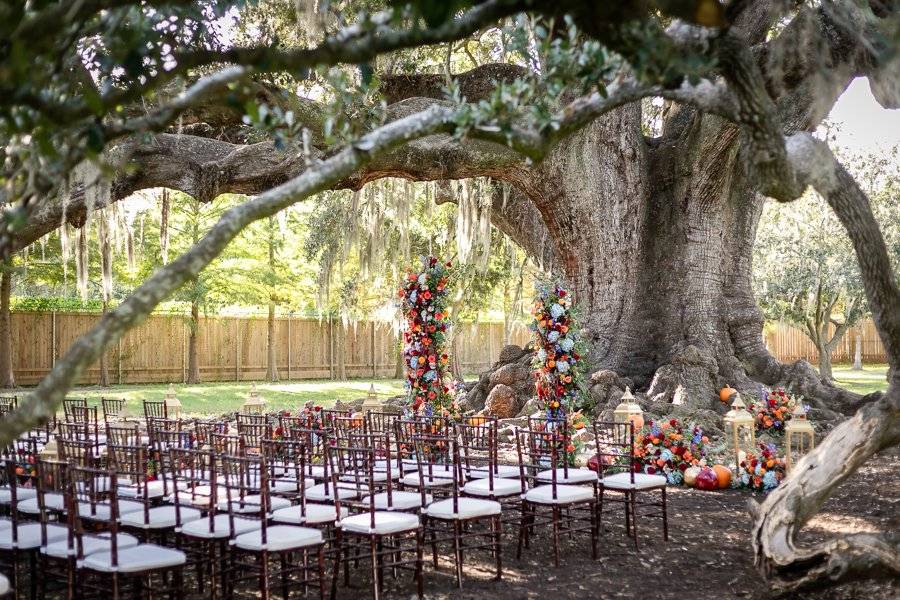 PK Weddings and Events New Orleans