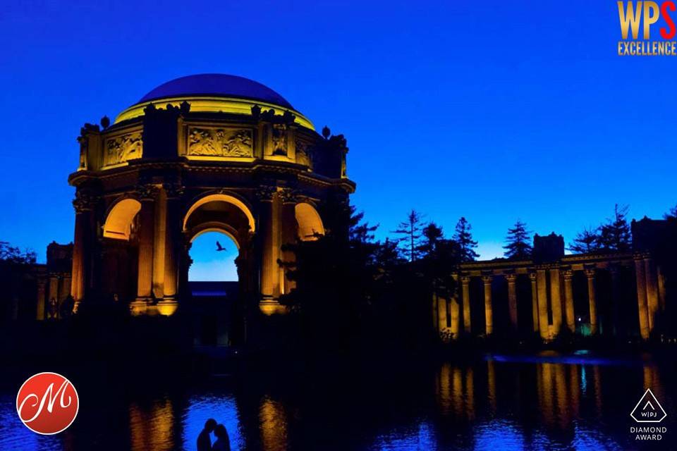 Palace of Fine Arts Engagement