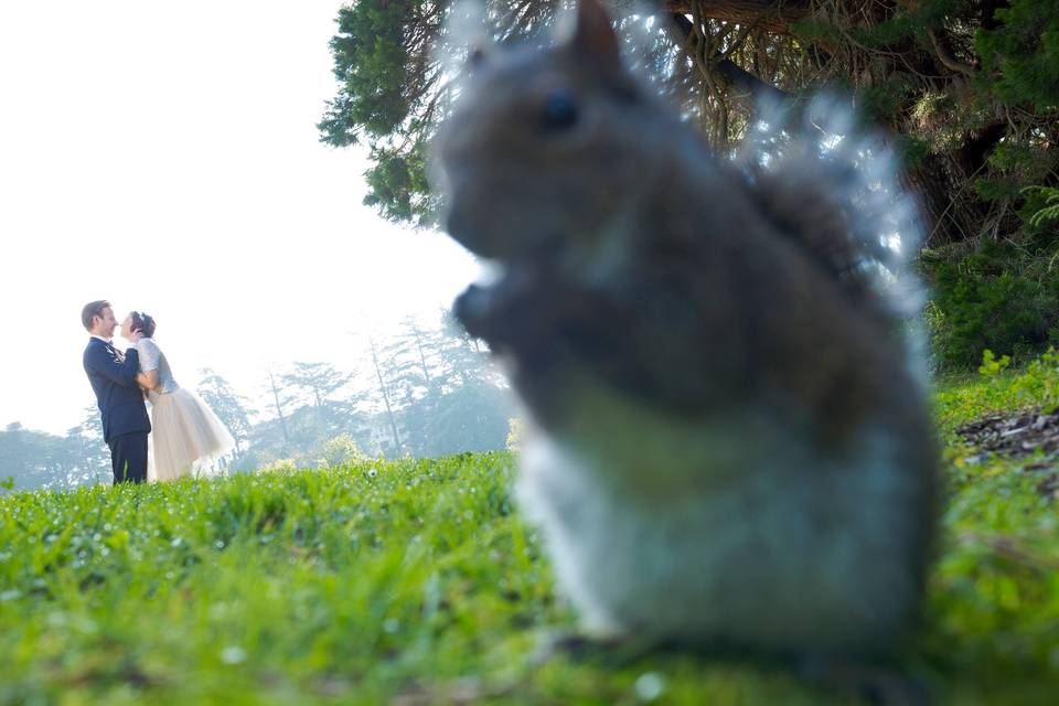 Squirrel Engagement Photo