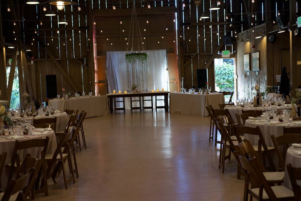 Linda Zuniga Events