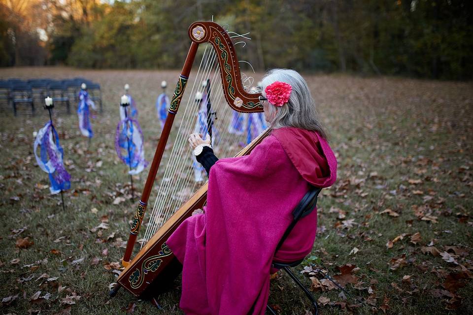 Leela the harpist