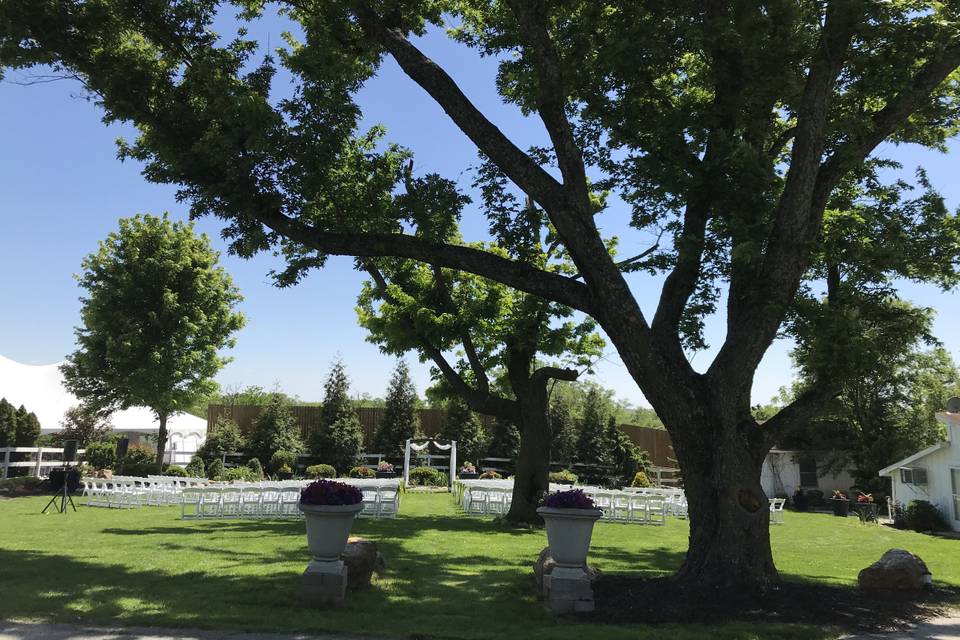 Courtyard Ceremony