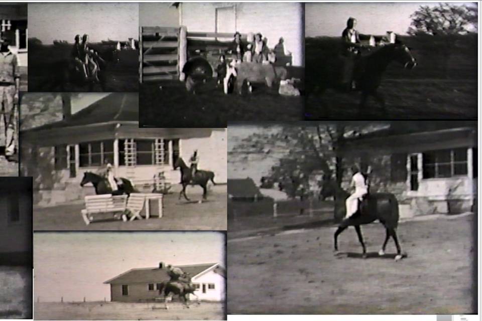 Crestview Dairy Early 1900's