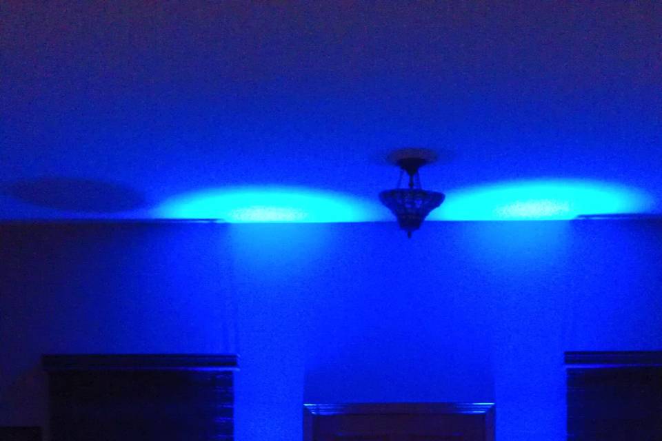 A bride wanted an electric blue color for her uplighting. She chose this color. Absolutely beautiful.