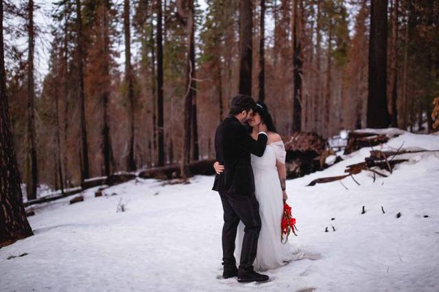 Destination Wedding - Yosemite