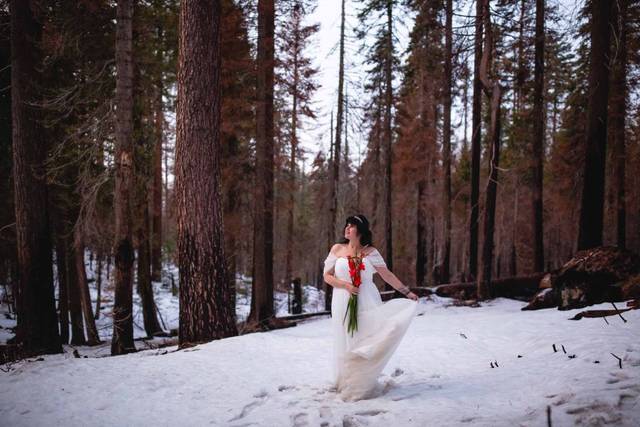 Destination Wedding - Yosemite