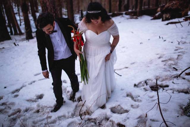Destination Wedding - Yosemite