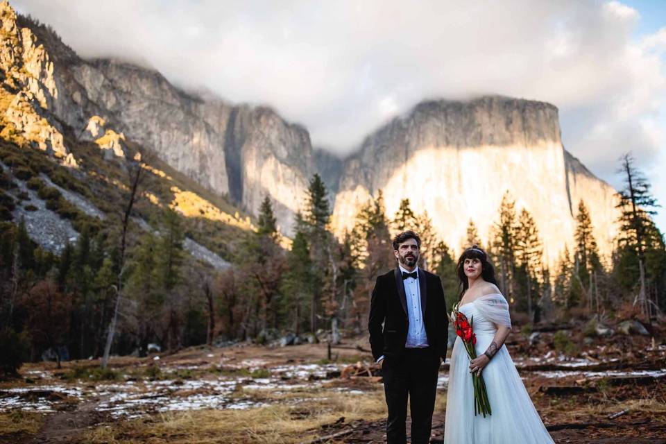 Destination Wedding - Yosemite