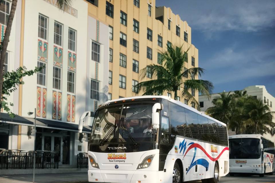 2 buses on Ocean Drive