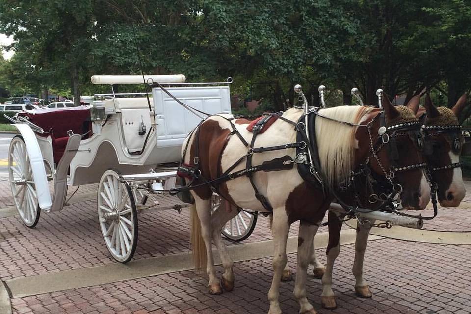 Horse & Carriage