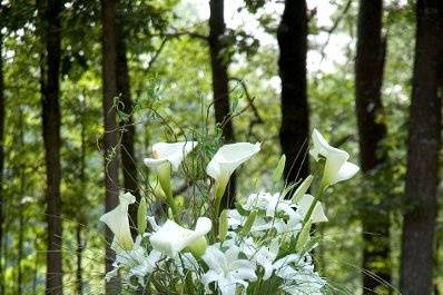 'Flowers of the heart' provides information on planning events outdoors including how outdoor temperatures affect flowers.