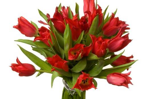 This hand-tied bouquet of fresh tulips is a great choice for a casual wedding.