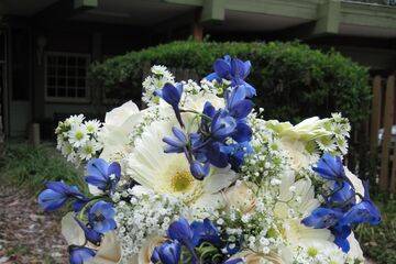 Blue touches