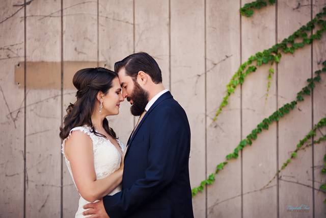 Elizabeth Fox Photography