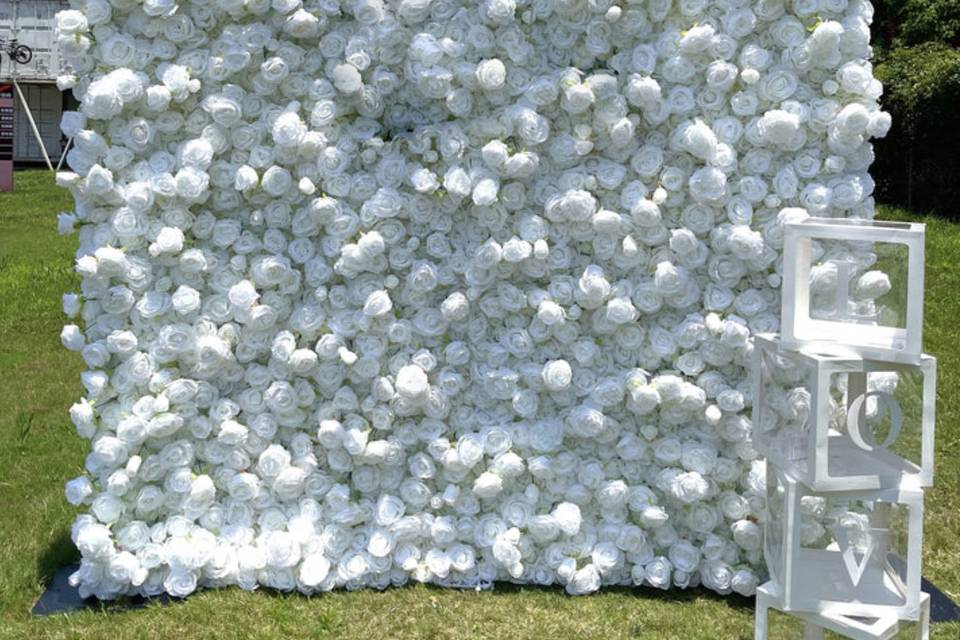 White Rose Flowerwall