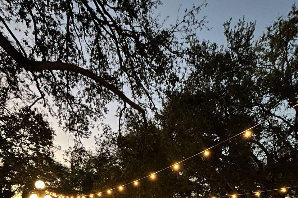 Courtyard view