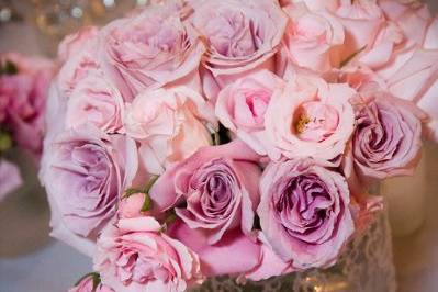 Meghan Finn Floral & Event Styling