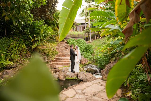 Naomi Levit Photography