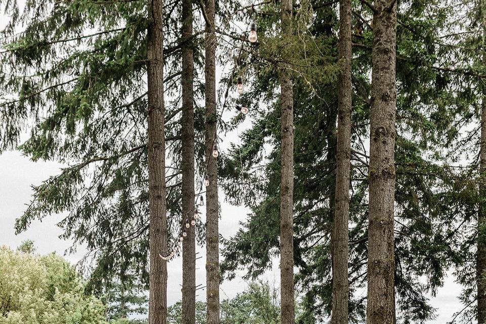 Ceremony with Forest View