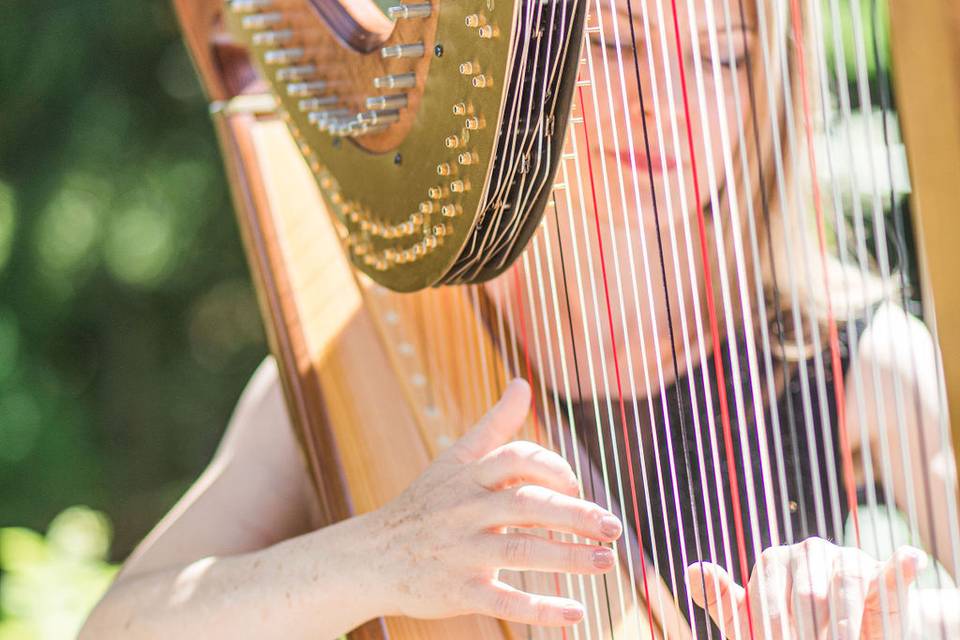 Harpist for the Ceremony