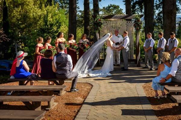 Forest Terrace Ceremony