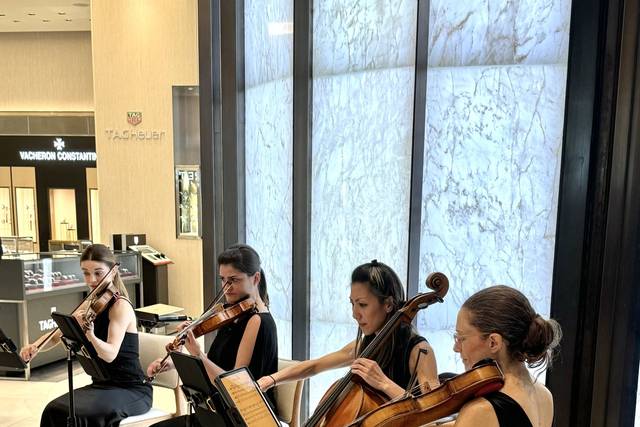 All Female String Quartet