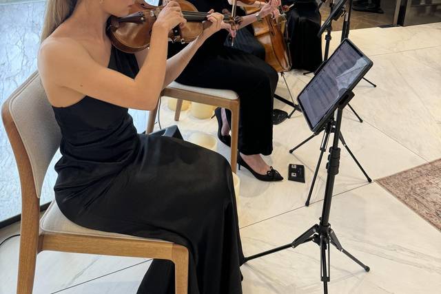 All Female String Quartet