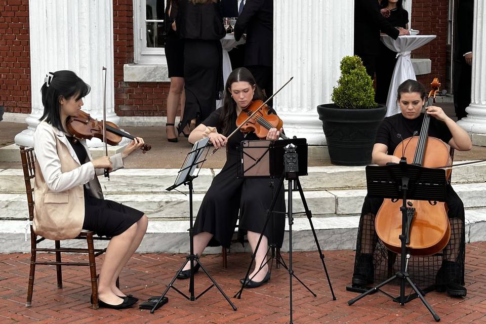 String Trio