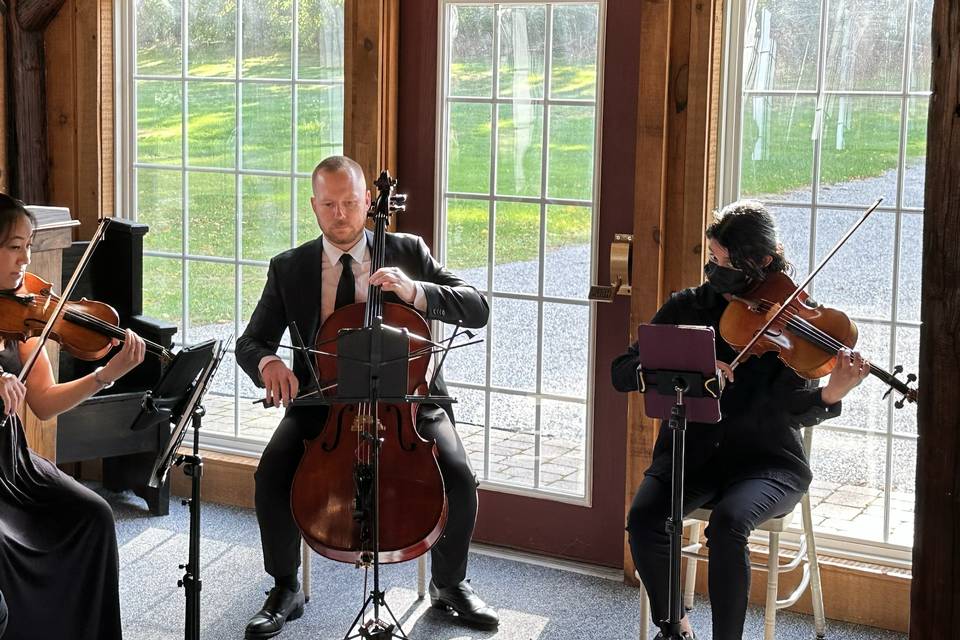 String Quartet Ceremony