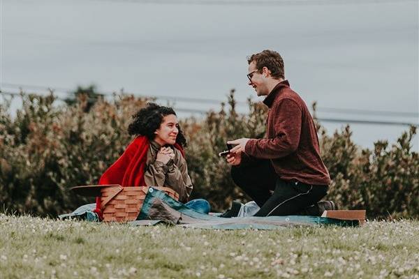 Proposal in the park