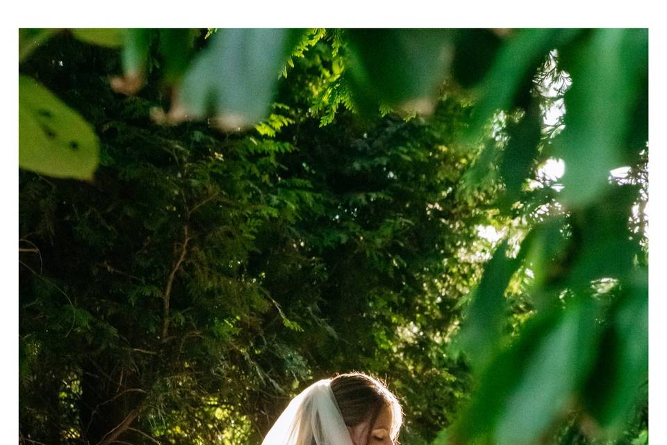 THE  BRIDE