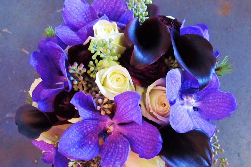 Vivid violets