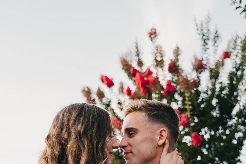 The Honeymooners Productions