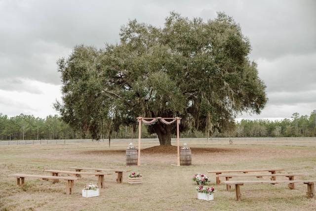 Oak Tree Ceremony