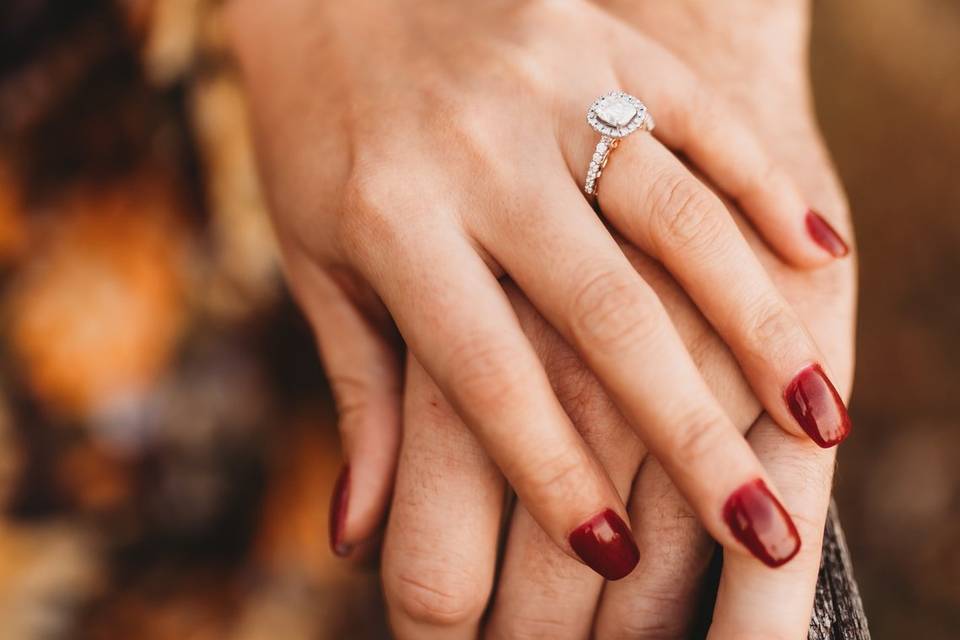 Hamilton, VA Engagement