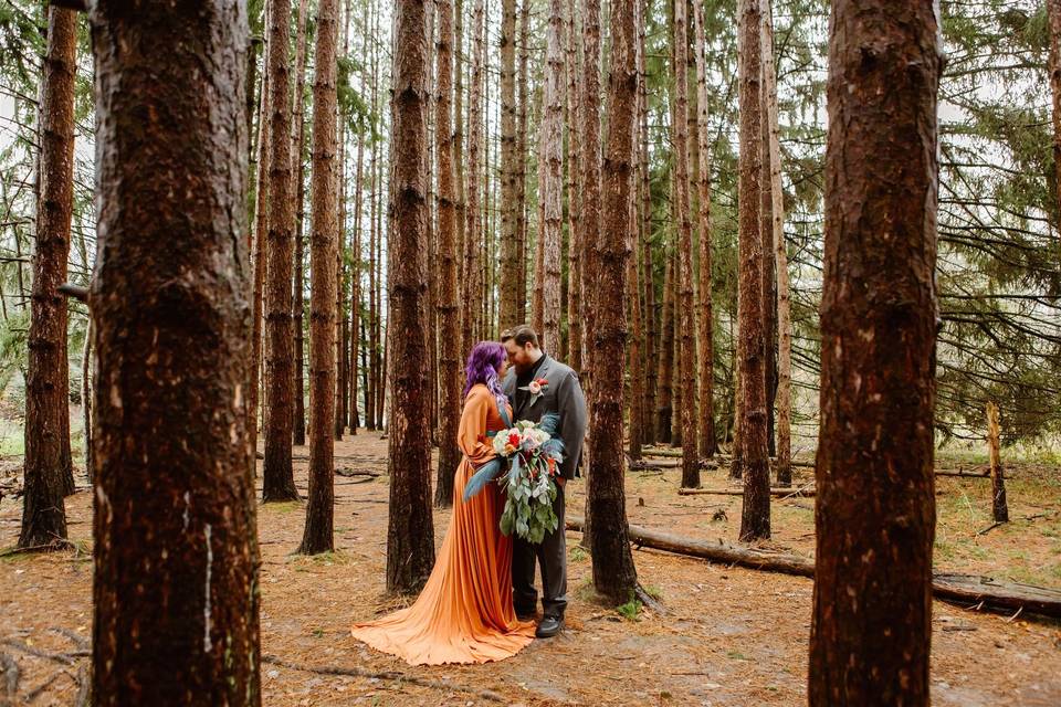 PA Forest Elopement