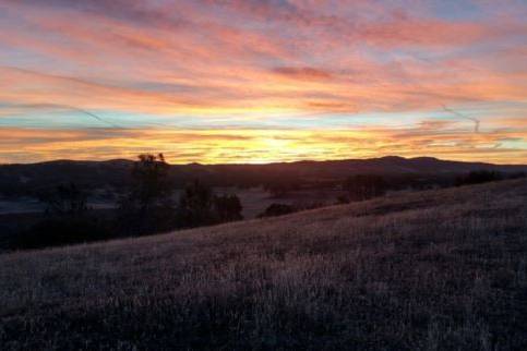 HorseTail Ranch grounds