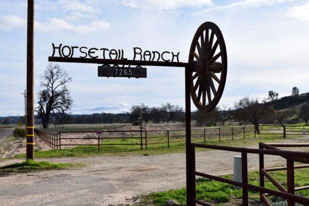 HorseTail Ranch sign
