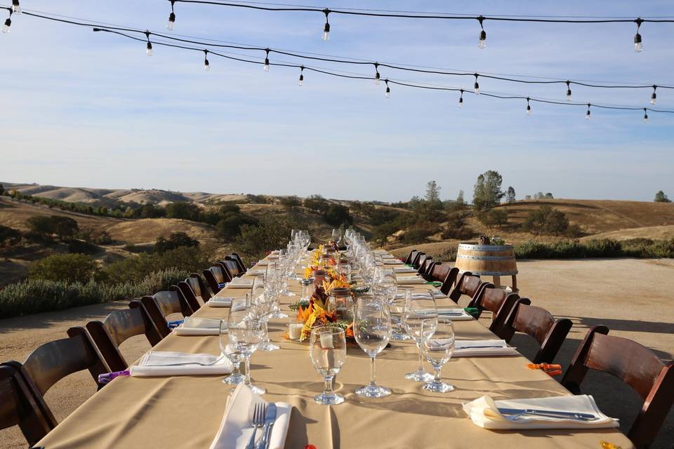 Long table setup