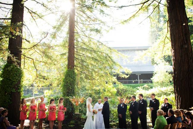 The couple with the bridesmaids and groomsmen