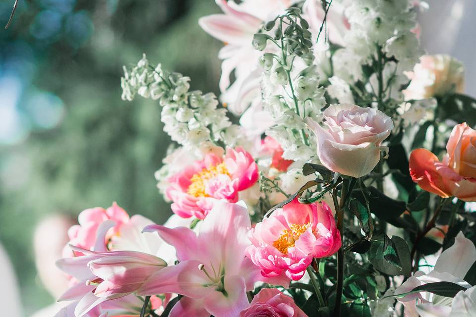 Flowers in a pot