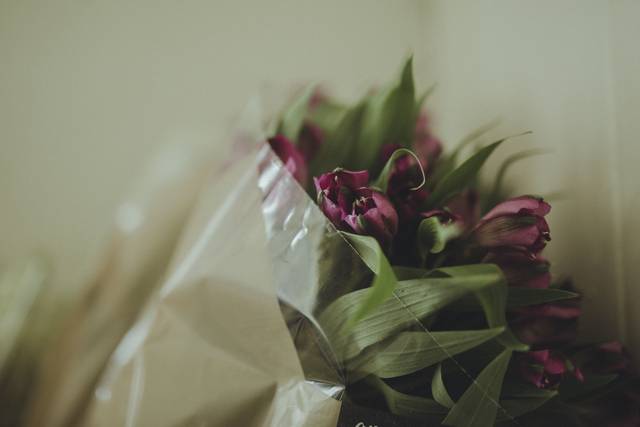 Sarah Stiles Photography
