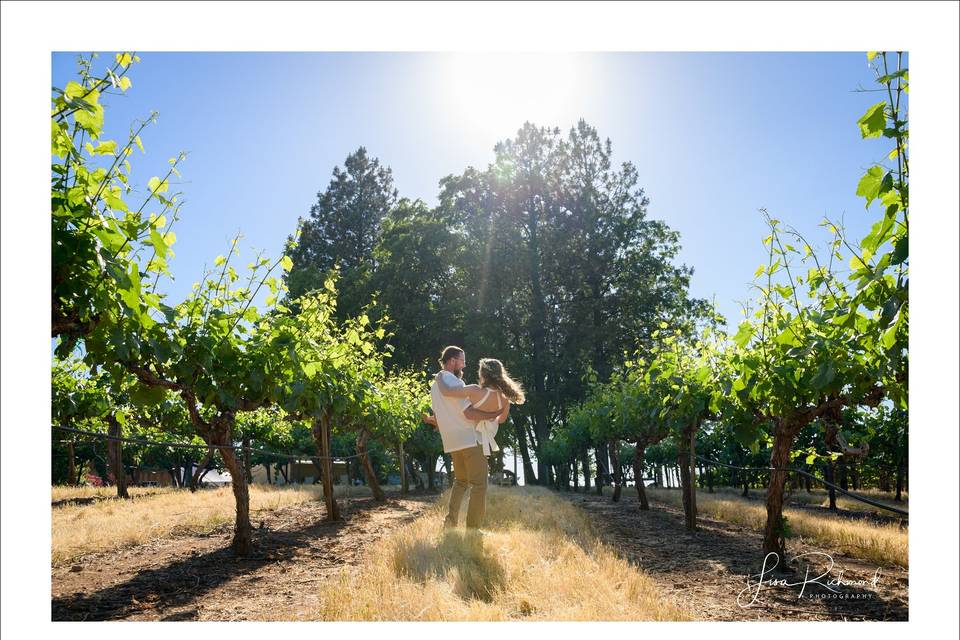 May in the Vines